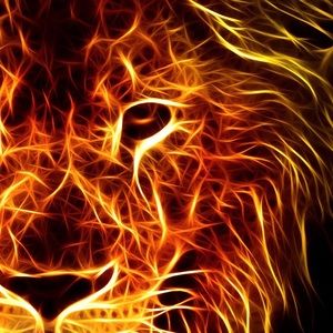 Meet your Posher, Lee